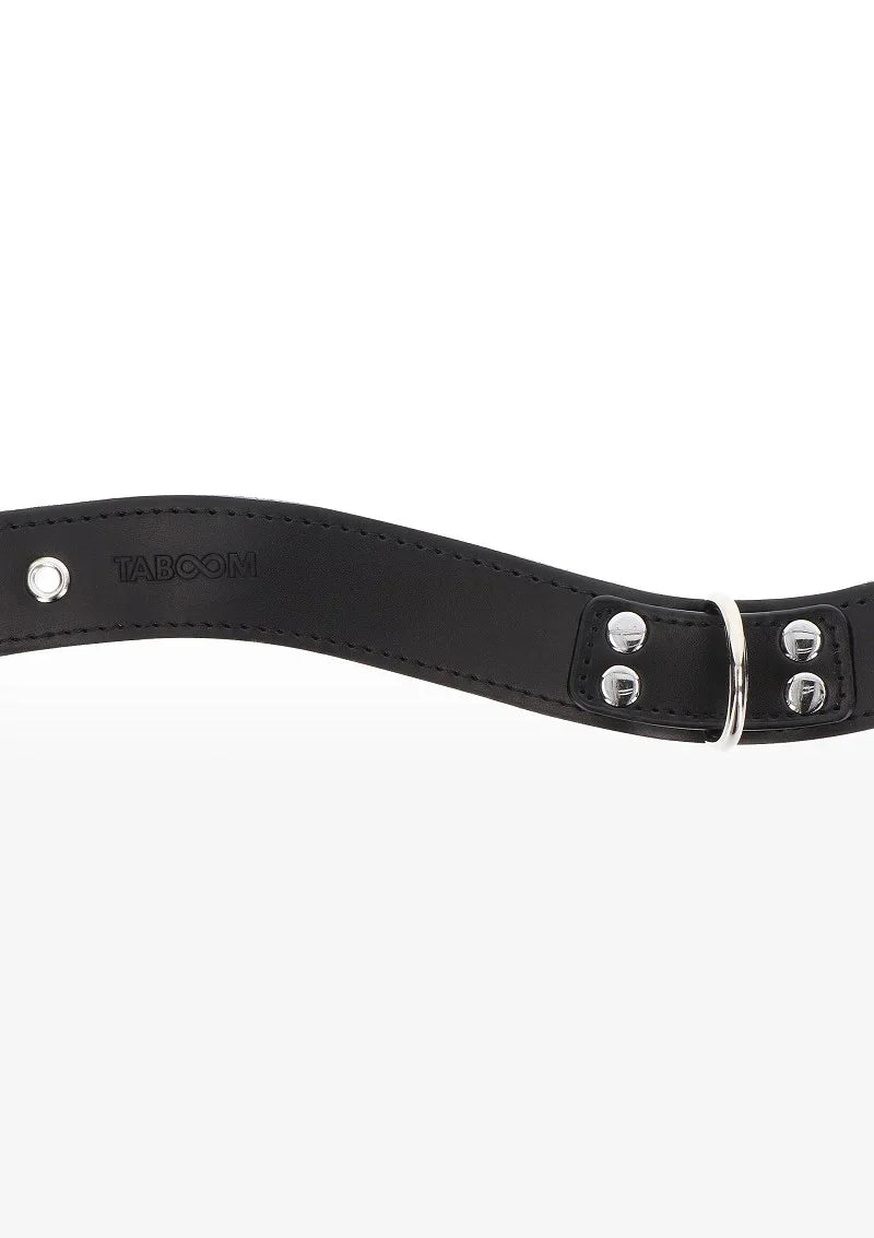 Taboom Bondage Essentials Elegante D-Ring Halsband - Happytoys Sexshop: Toys for Feeling Happy & Easy 😊 - Discreet geleverd