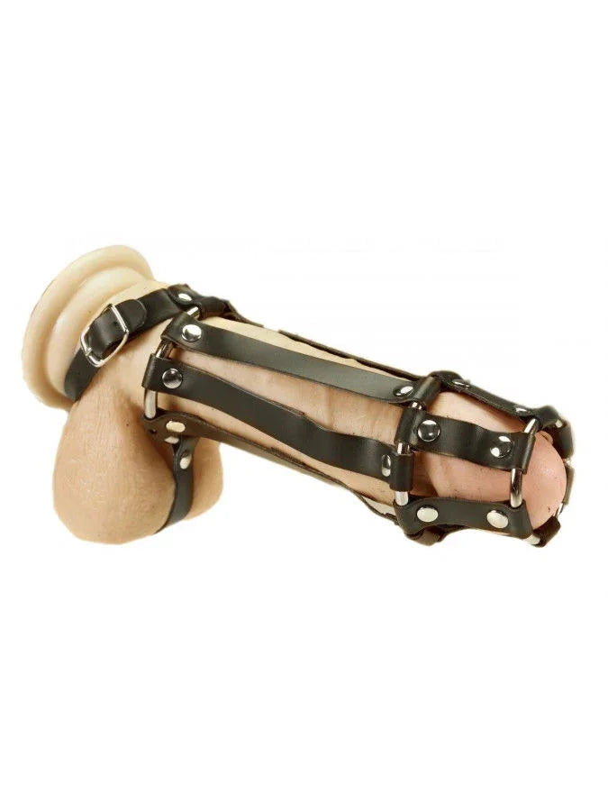 Rimba - Penis koker met balzakband en gesp - Happytoys Sexshop: Toys for Feeling Happy & Easy 😊 - Discreet geleverd